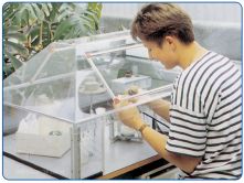 Suction hood for laboratories to maintain employee health and work comfort